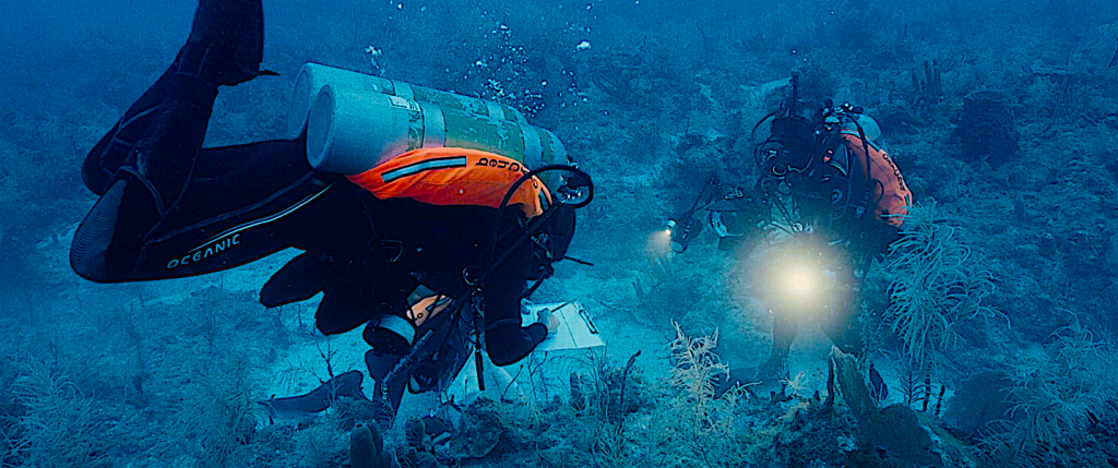 image: underwater diving.