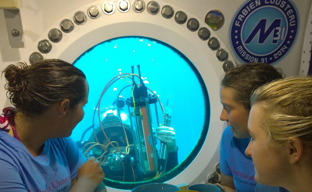 image: the view from inside Aquarius.