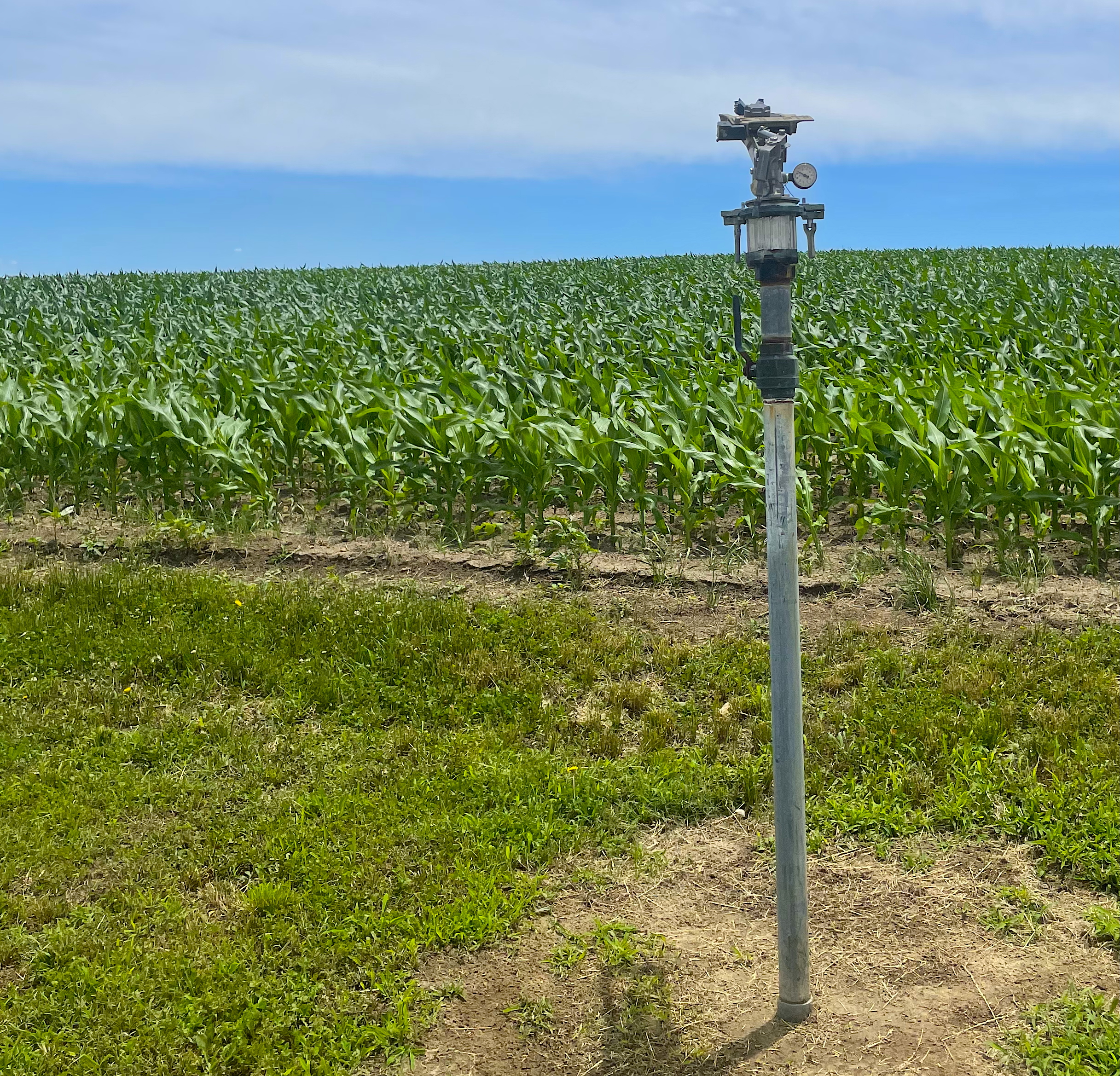 image: irrigation for farmland.