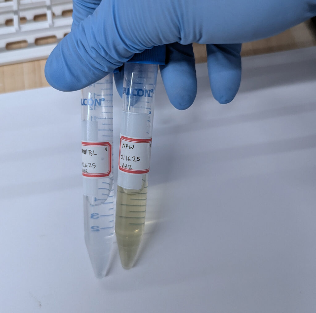 image: test tubes of water.