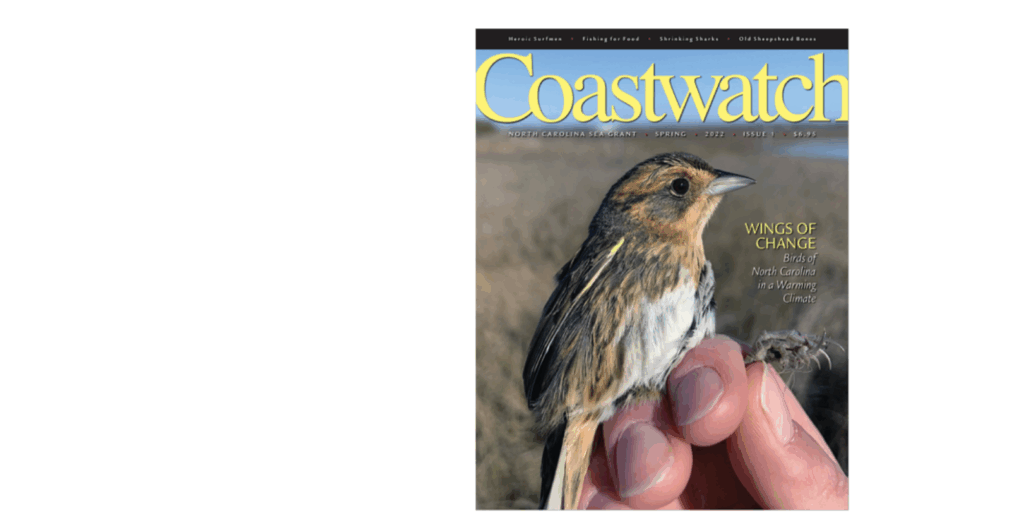 cover: Wings of Change issue, sparrow.