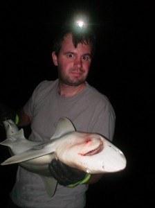Chuck Bangley holds a blacknose shark.