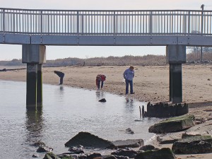 Beachcombers near a dock.