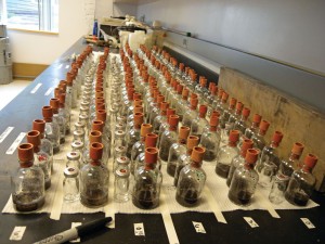 Soil samples in bottles sit in a lab.
