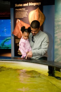 Parents can help children discover sea creatures at North Carolina aquariums. 