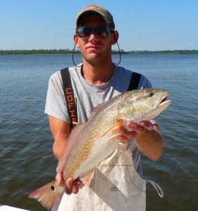North Carolina Sea Grant has funded several studies of red drum, including one that tests the effect of fish body size on the probability of winter survival. 