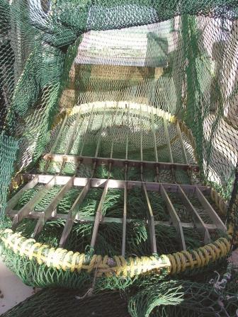 Reworking Turtle Excluder Devices on Summer Flounder Trawls ...