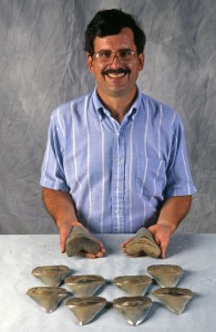 Vince Schneider holds the fossilized teeth of the white shark's ancestor.