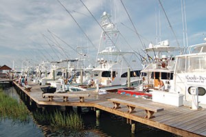 Recreational fishing boats docked 
