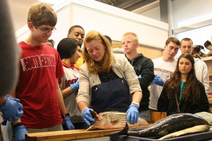 George Pate and his classmates watch Coley Hughes open a striped bass skull.