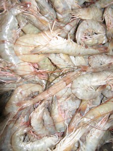Pink shrimp await piled high for buyers at a fish market.