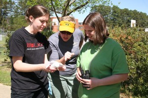 Melissa Slane , Kelly Hendrix and Abby Black read the pH of the water sample.