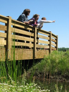 Planners stand on a wooden bridge and identify what plants to use. 
