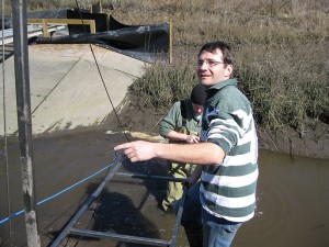 Researchers placing water-quality monitoring equipment in a marsh.