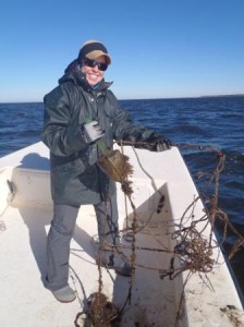 derelict crab pots in wide range of conditions