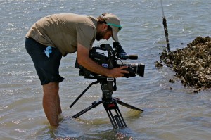 Peter Bell gets close-ups of oysters.