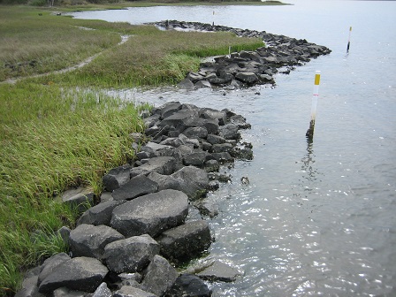 estuarine shoreline stabilization