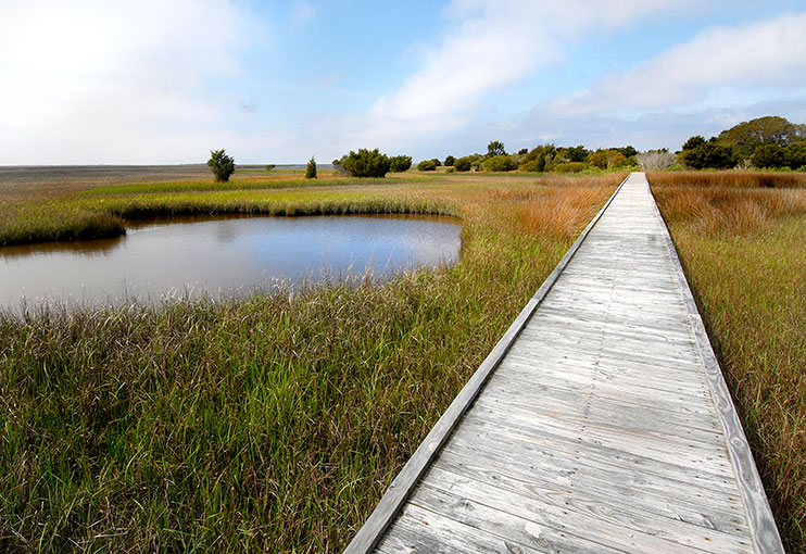 Undeveloped shorelines and a boardwalk for visitors.