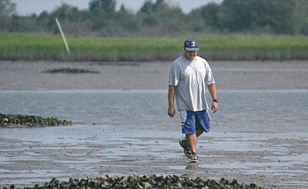 Martin Posey studies oysters