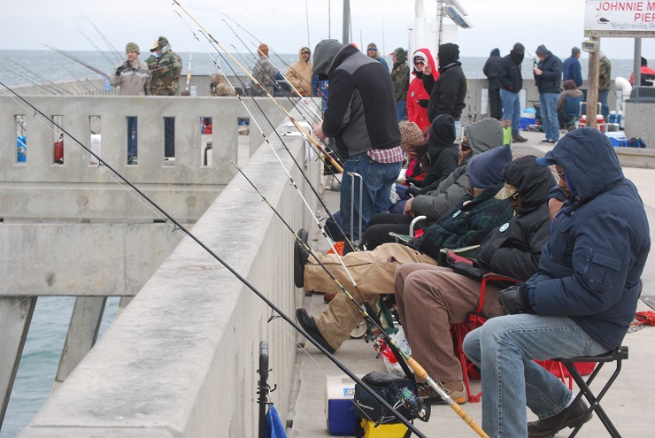 anglers at dogfish tournament