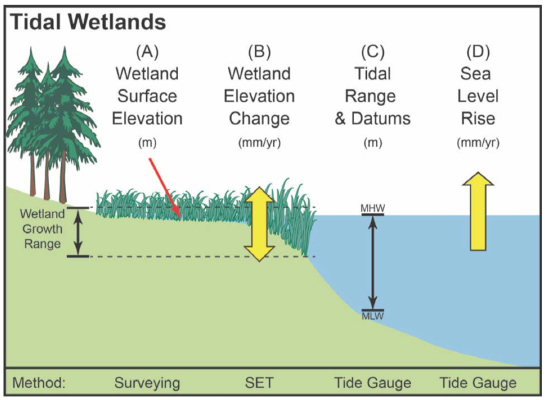 Land Versus Sea CoastwatchCoastwatch