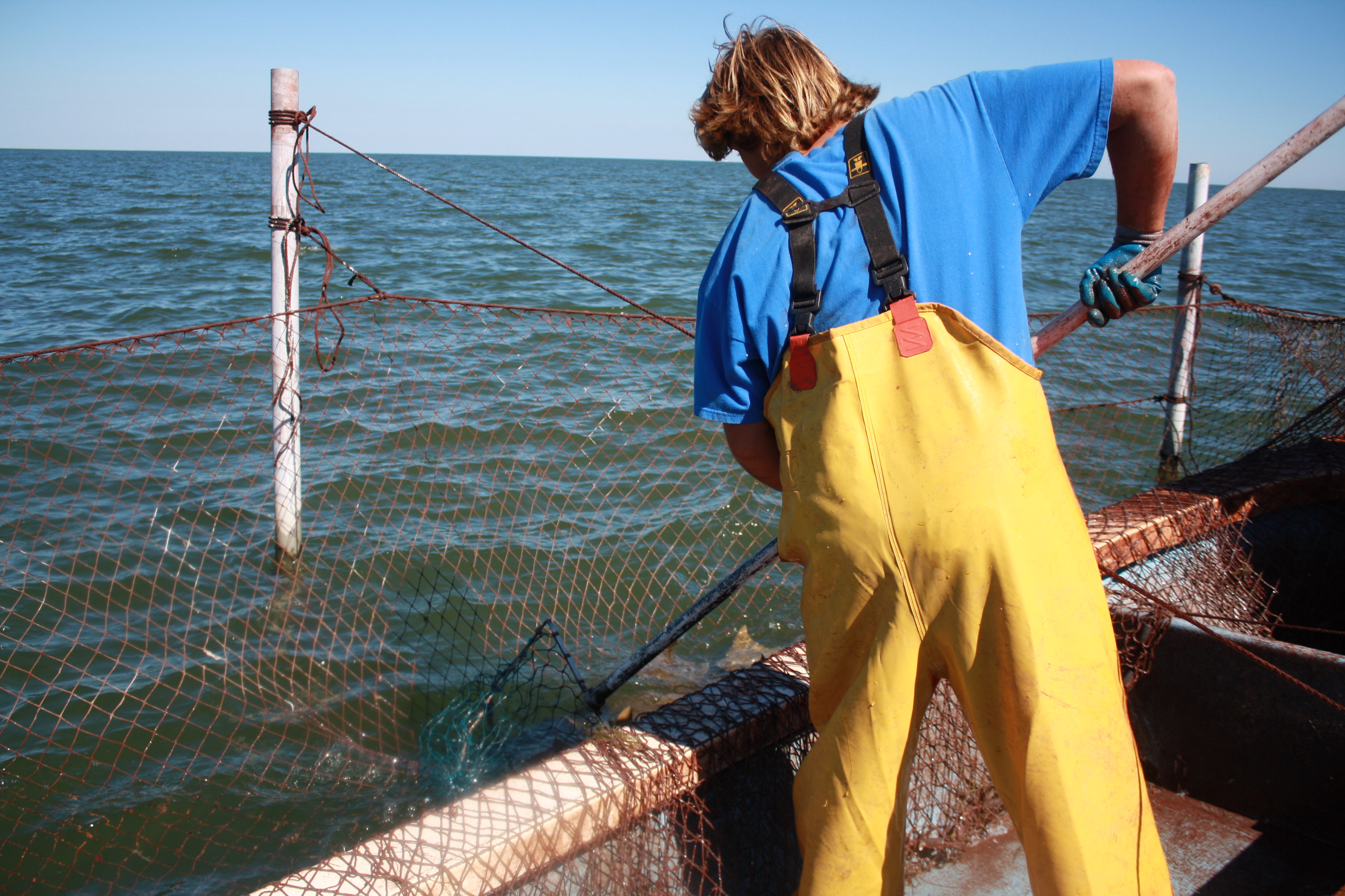 Researchers are conducting a much needed inventory of fish houses 