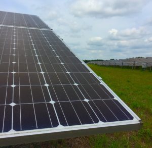 Solar farms, such as this one in Greene County, are part of a growing energy industry cluster in the rural coastal region. Photo by Jane Harrison.