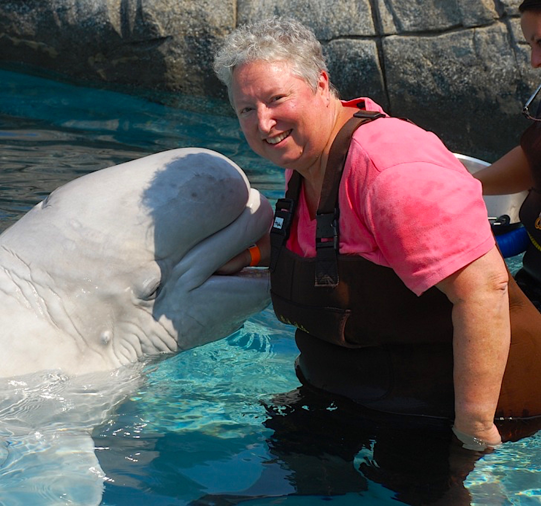 Marine science offers students a world of possibilities. In 2010 Terri Kirby Hathaway met Naku, a beluga whale, at Mystic Aquarium in Connecticut.