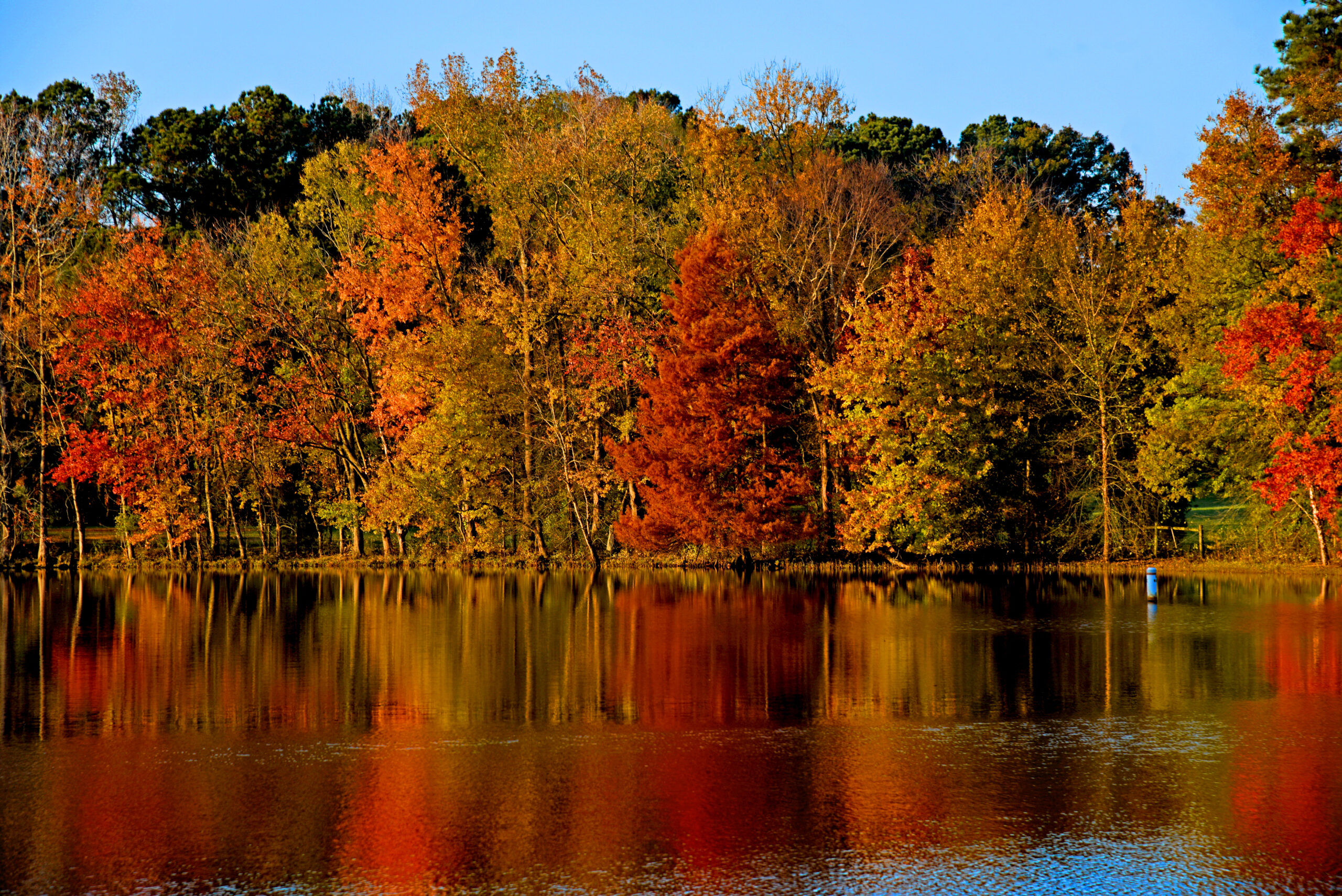 image: lake amidst fall oranges and reds. Courtesy of NC State University Photos.