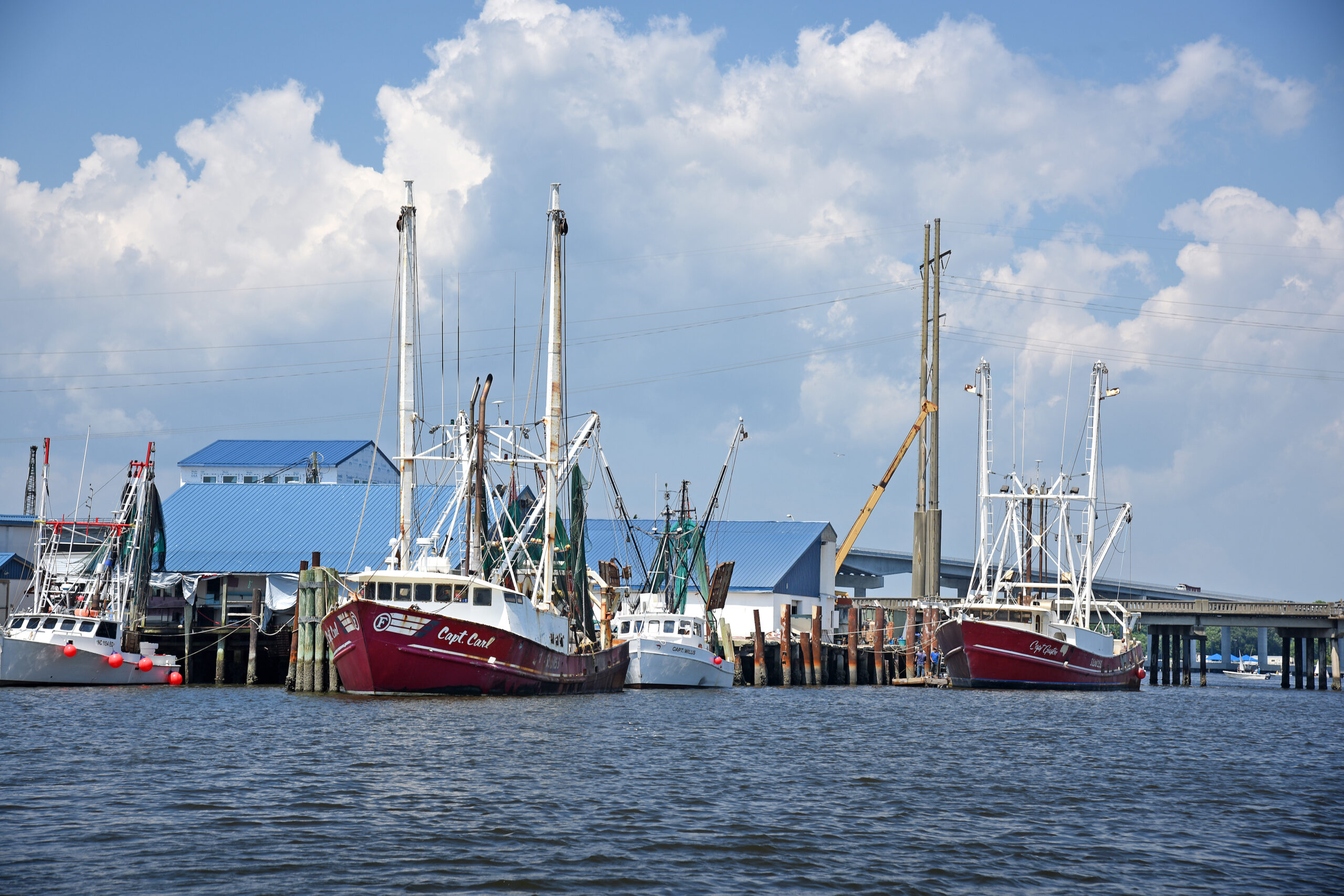 Fishing boats and shrimp boats. Credit: NC State University Photos.