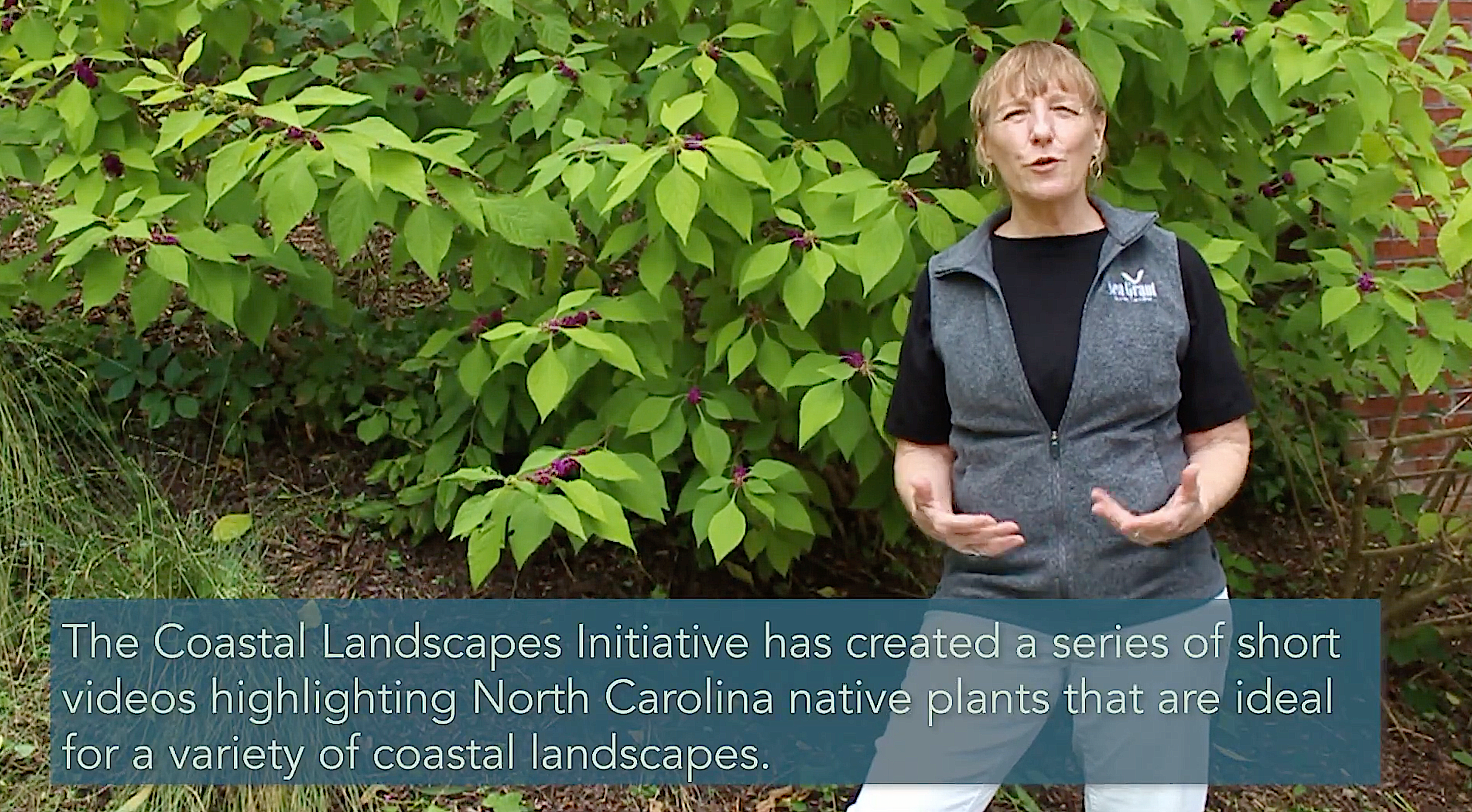 The CLI’s Gloria Putnam says using native plants makes for eco-friendly landscaping.