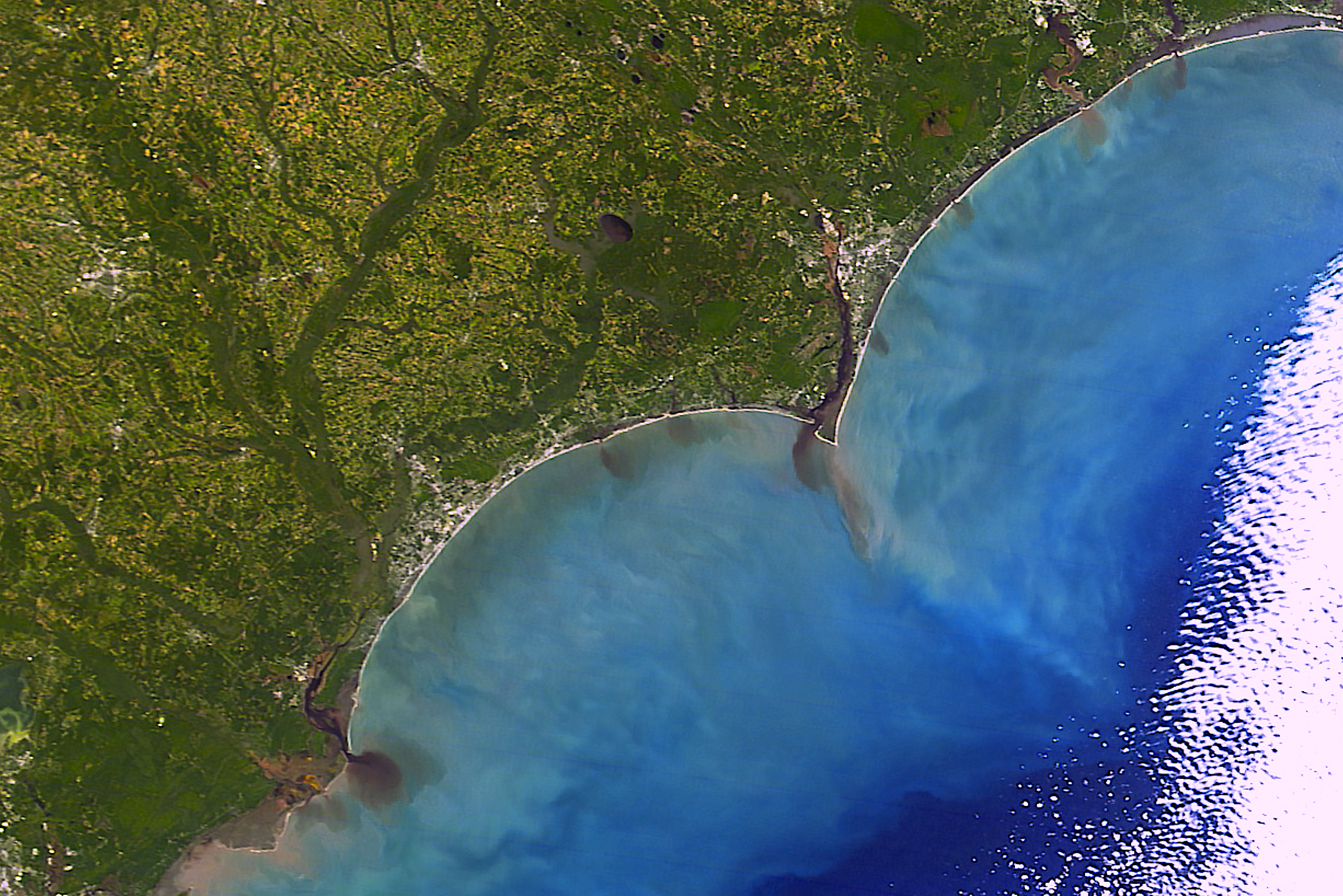 Crop and livestock losses in-state from Matthew were estimated at $400 million. Flooding carried runoff and sediment into tributaries, rivers, and the Atlantic. Credit: NWS Wilmington (flooded field) and NASA (satellite view).