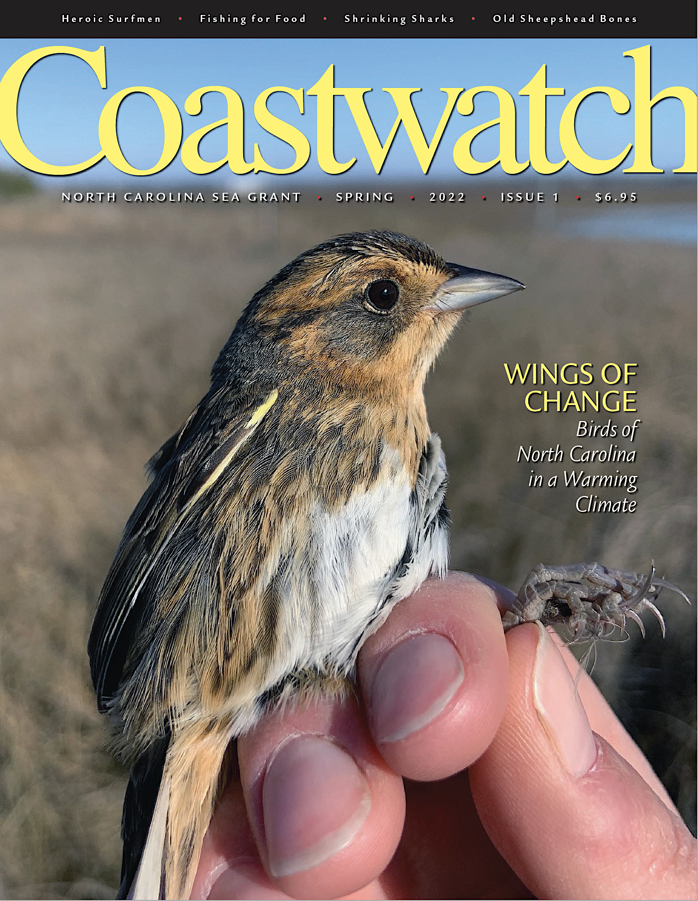 image: Coastwatch Spring 2022 cover.