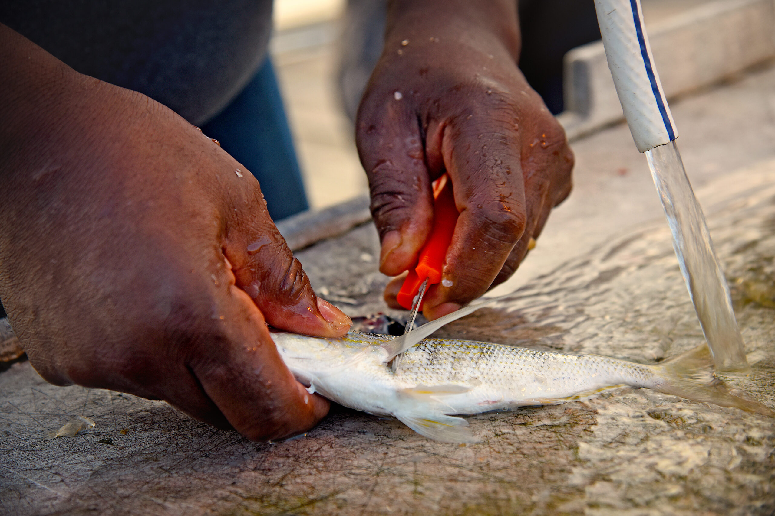 image: One in seven North Carolinians face hunger, and people who fish for food often feed the elderly, people with disabilities, and children. Carteret County, North Carolina. Credit: NC State University.