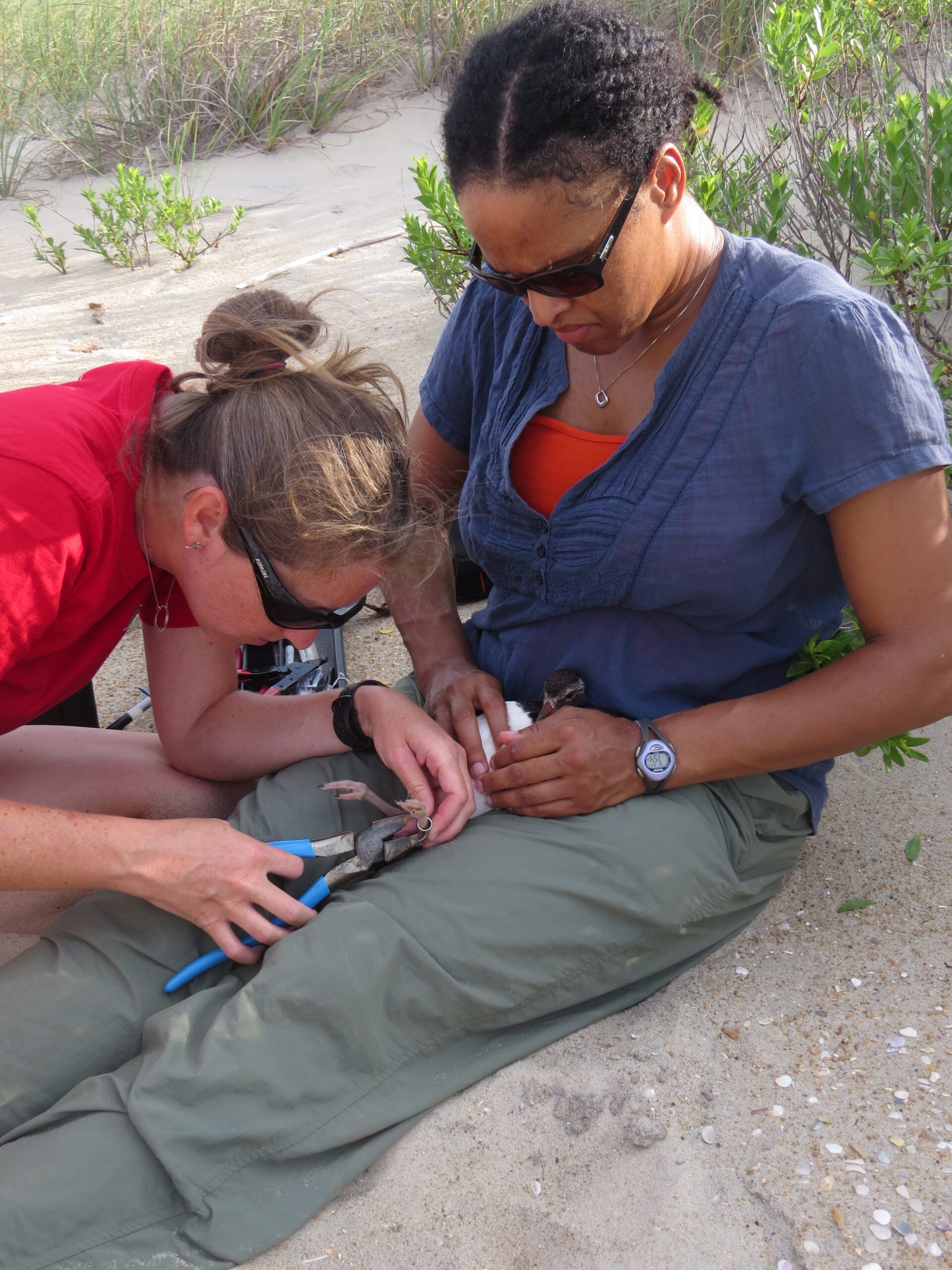 image: Shilo Felton (left) is one of a growing group of young scientists dedicated to studying how climate change affects North Carolina’s birds. Credit: Britta Muiznieks/NPS.