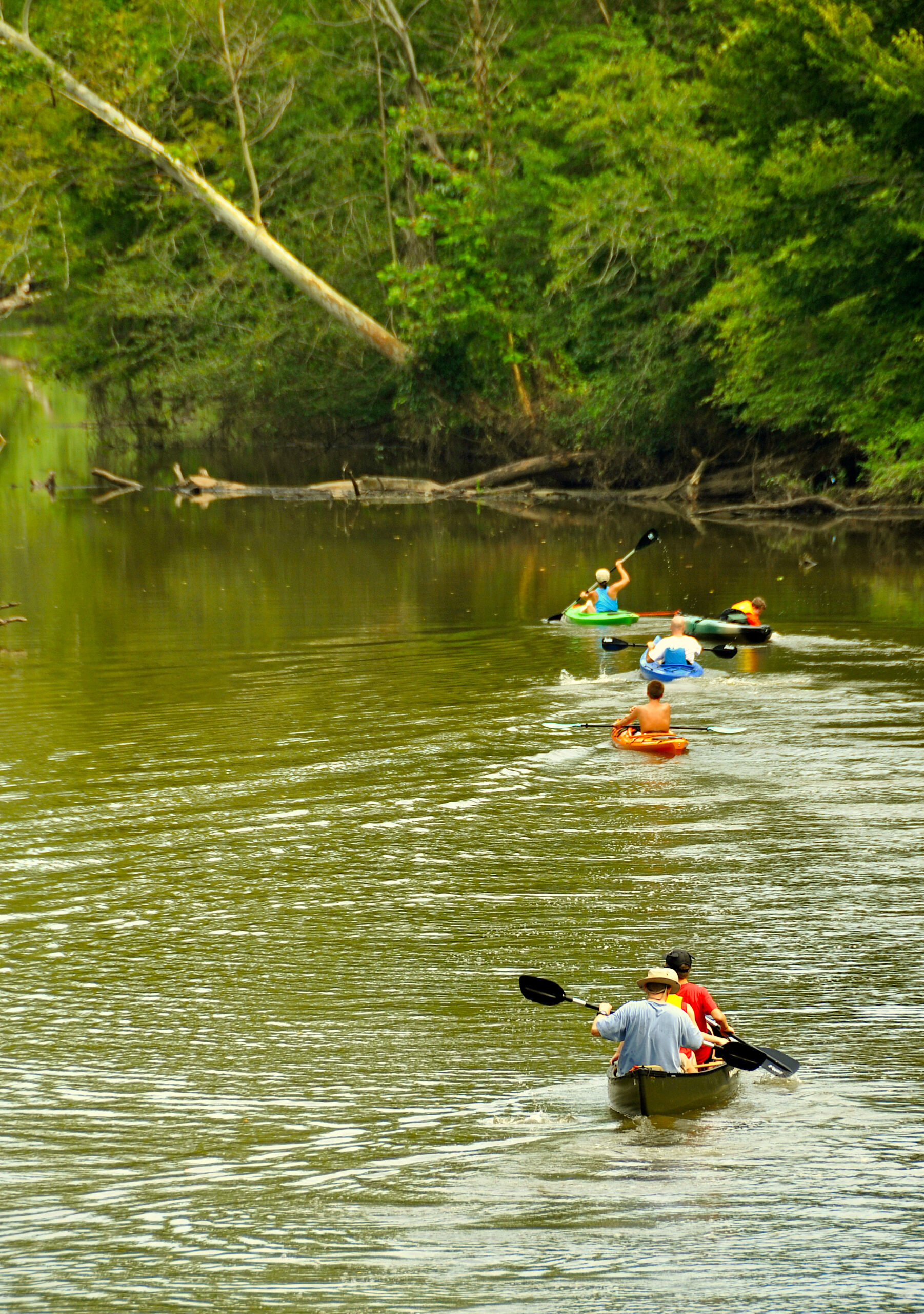 A line of kayakers paddling along a river