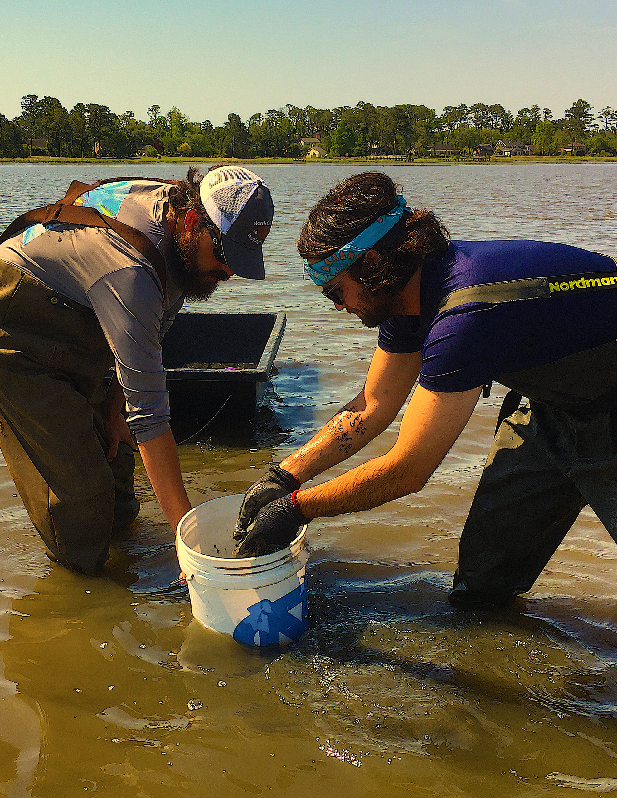 image: The author (right) and IMS’s Creed Branham excavate oysters. Credit: Joey Reustle.