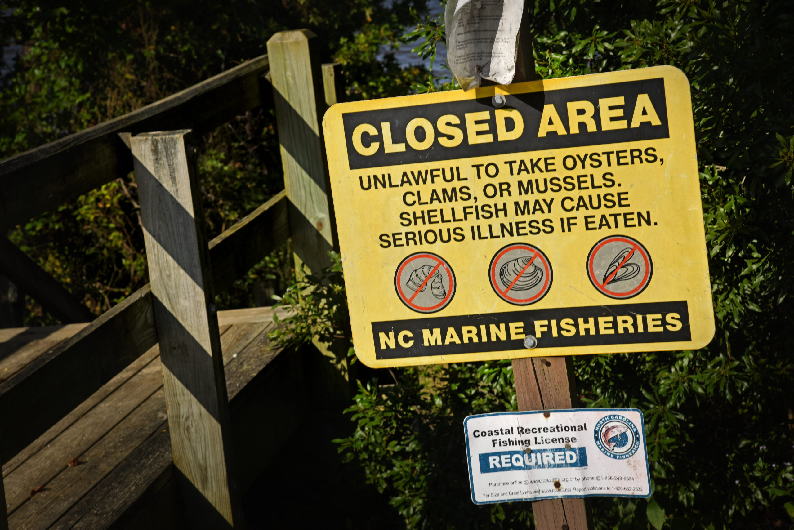 image: warning sign. Officials meticulously monitor oyster health, and out of an abundance of caution for consumers, the sale of local oysters is occasionally halted during periods of heat and rain. Credit: NC State.