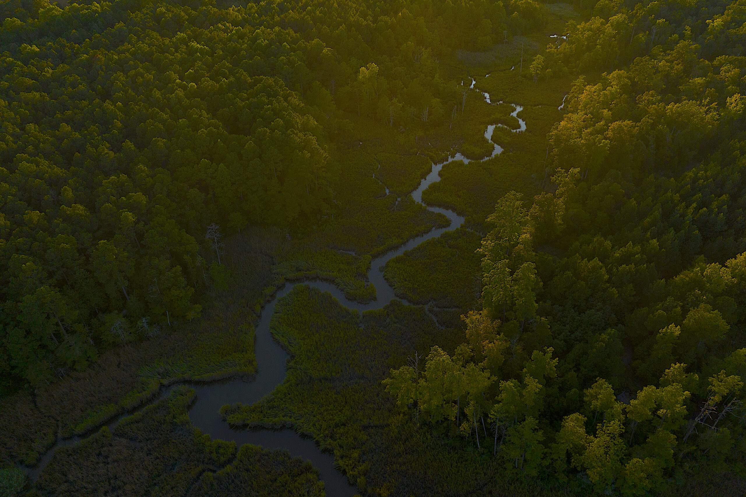 image: overhead view of river basin.