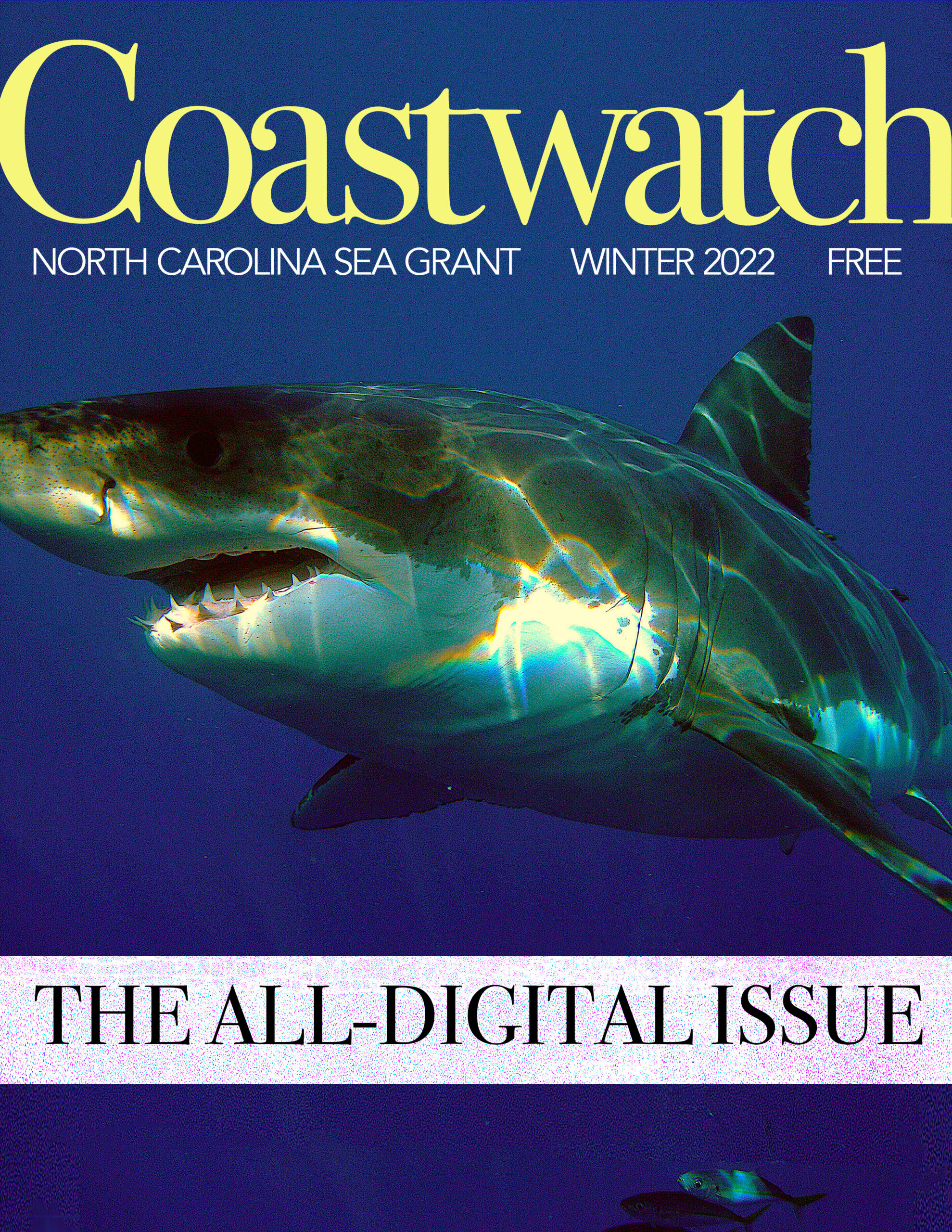 Sharks of North Carolina - CoastwatchCoastwatch