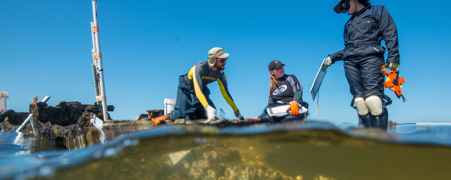 image: researchers at work on a partially submerged shipwreck.