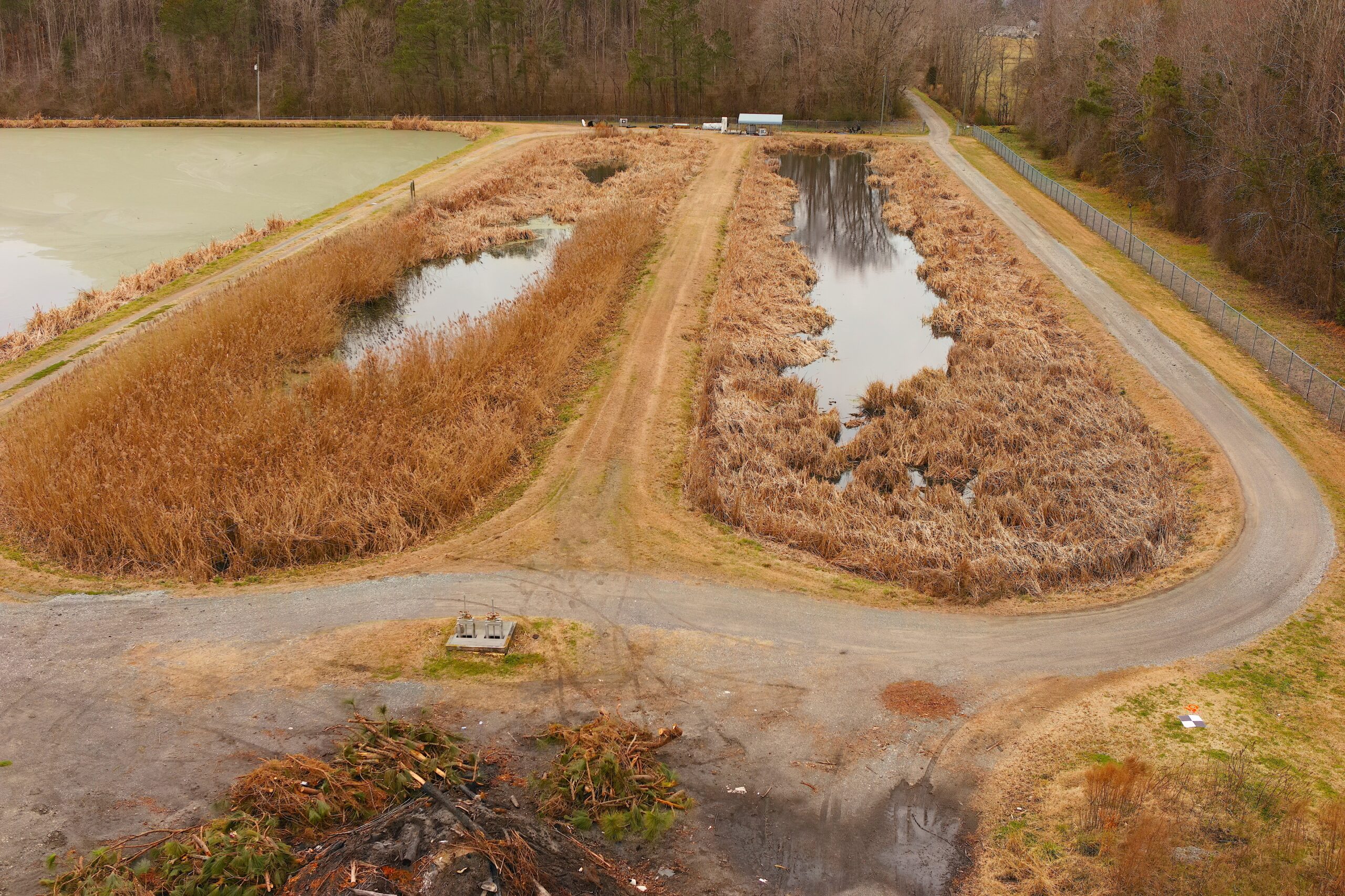 image: a wastewater treatment plant in the middle of a wetland.