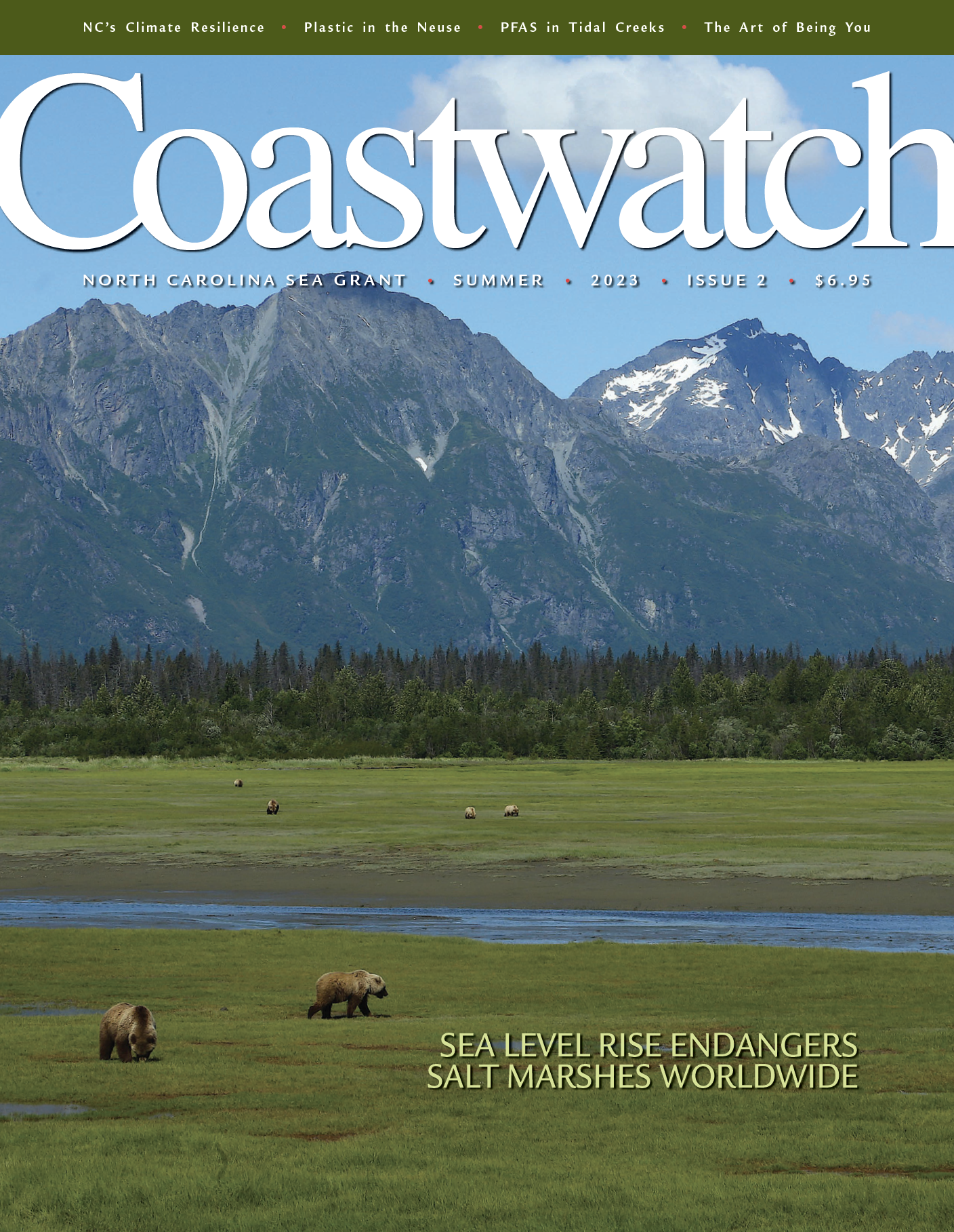 image: bears on salt marsh and meadow.