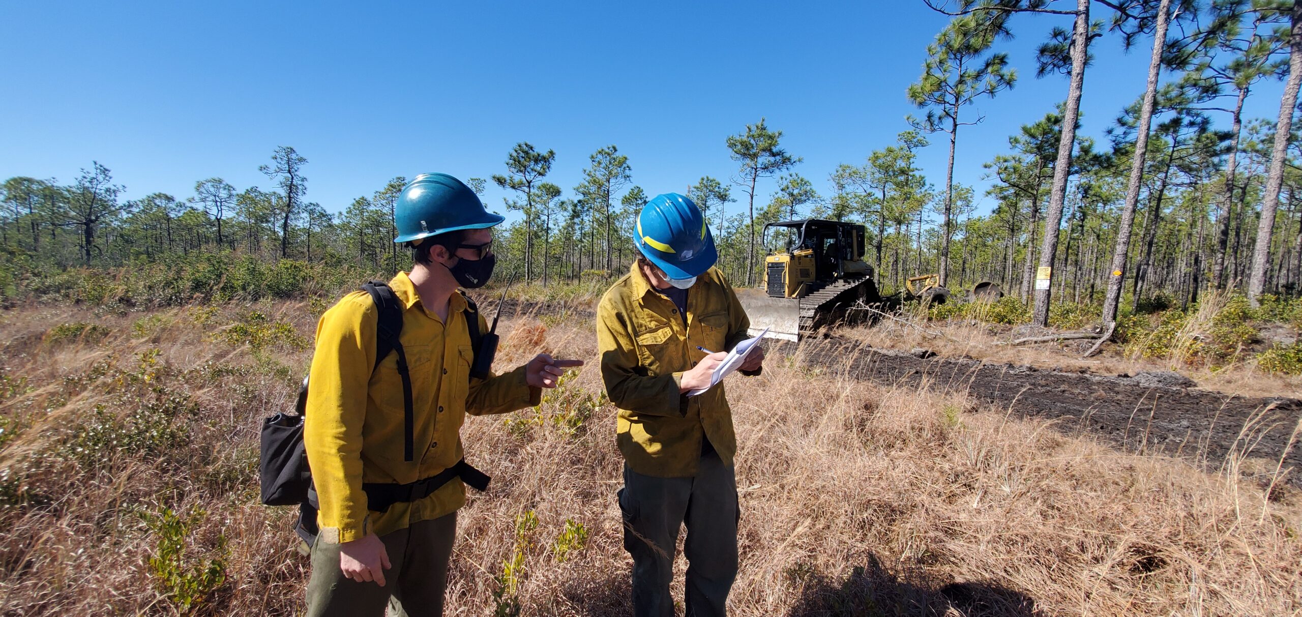 Two firefighters standing in a longleaf pine forest.