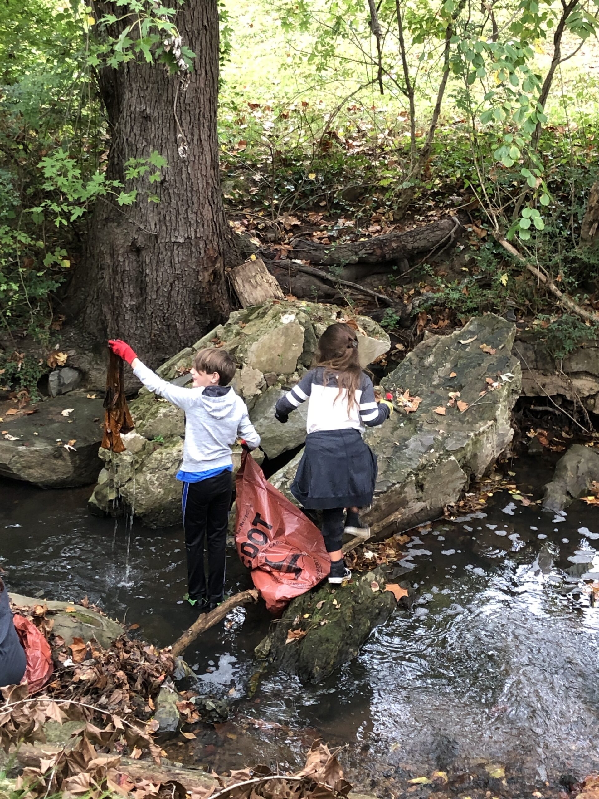 Elementary school students picking up trash in an Asheville stream.