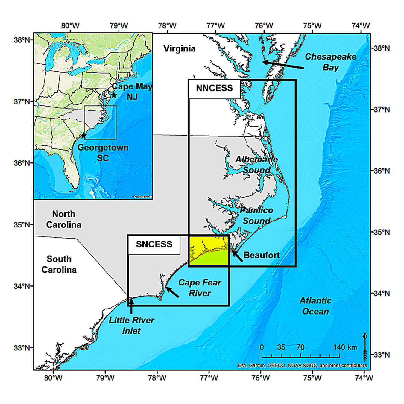 map: dolphin clusters on the NC coast.