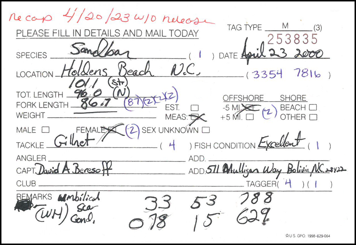 image: original tagging information for Dave Beresoff's sandbar shark.