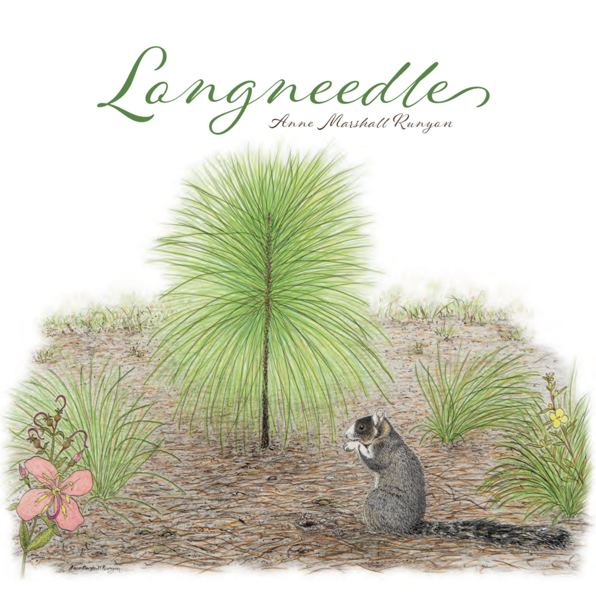 New Children's Book Tells the Story of a Longleaf Pine - Coastwatch  CurrentsCoastwatch Currents