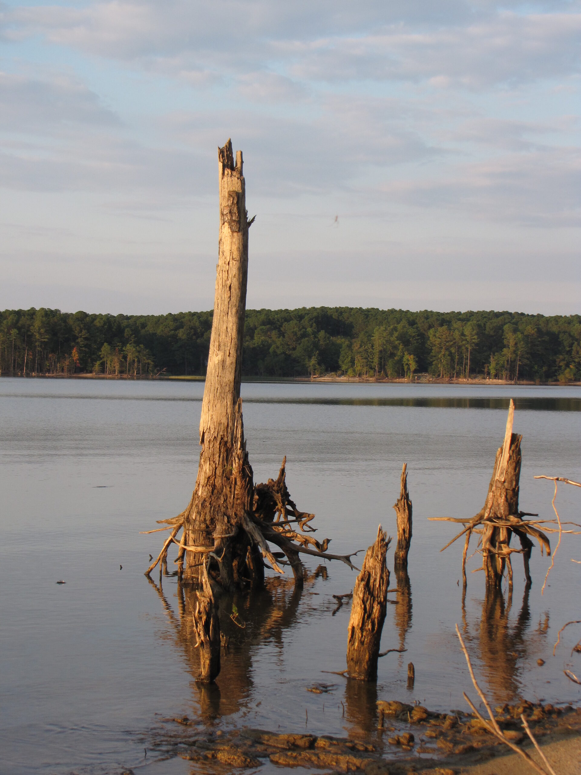 Jordan Lake State Recreation Area, courtesy of Gerry Dincher/CC BY-SA 2.0 (CreativeCommons.org)