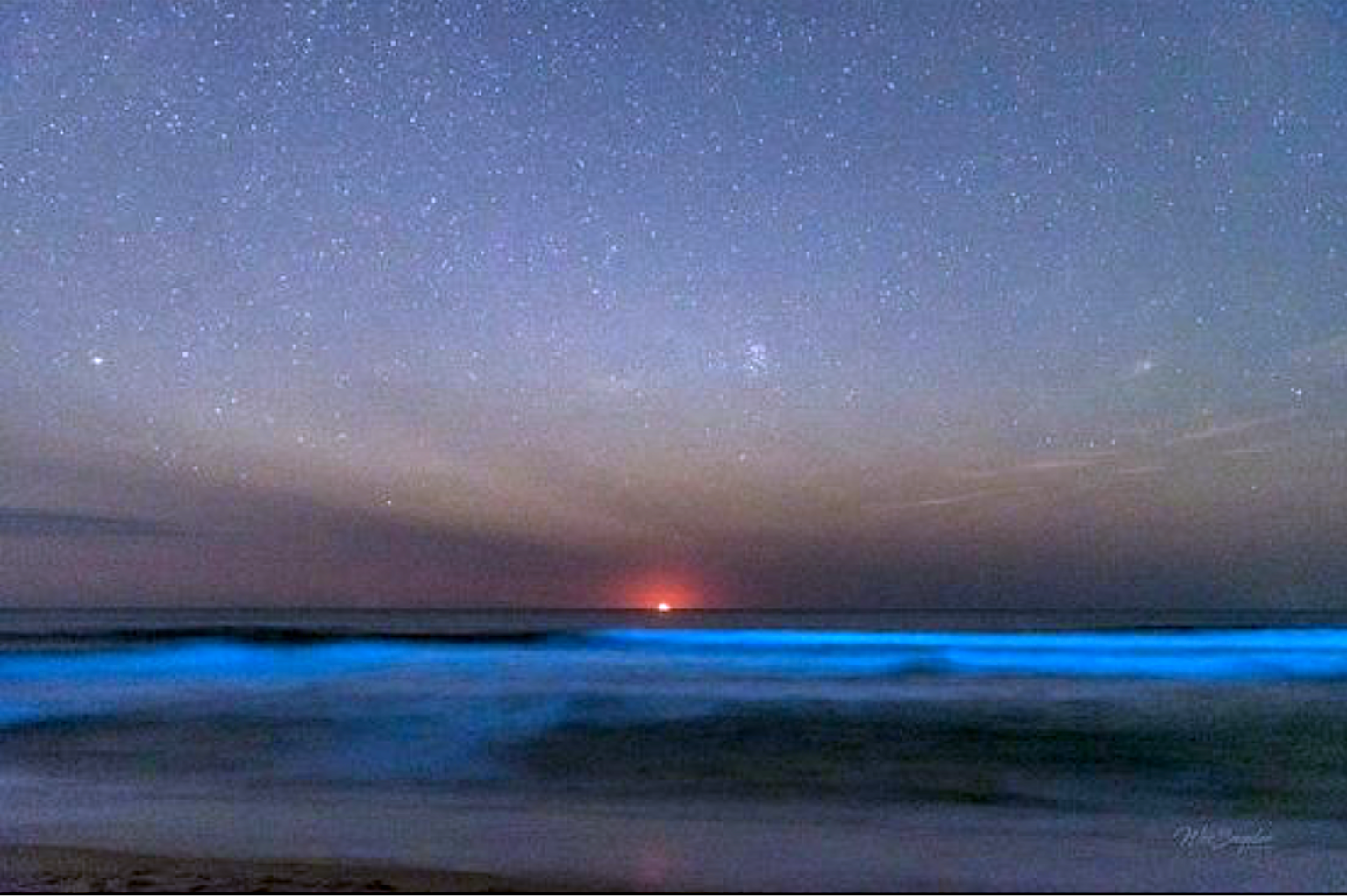 Summer and Fall Bring Bioluminescence to the Outer Banks Coastwatch